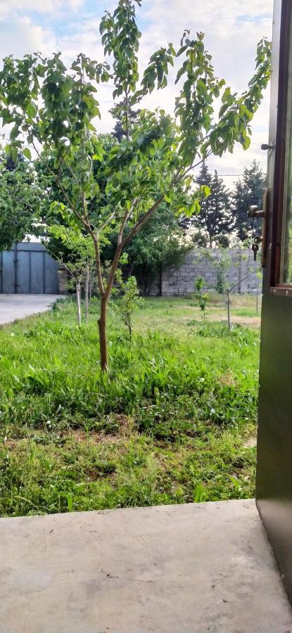 Guest House Near Baku Airport Bakoe Buitenkant foto