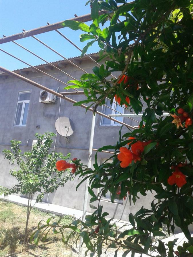 Guest House Near Baku Airport Bakoe Buitenkant foto